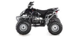 ACCESS DRR 100 – JUNIORSKI SPORTSKI ATV!