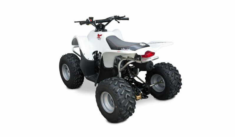 ACCESS DRR 100 – JUNIORSKI SPORTSKI ATV! full